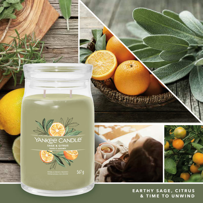 Yankee Candle Sage & Citrus Signature Large Jar