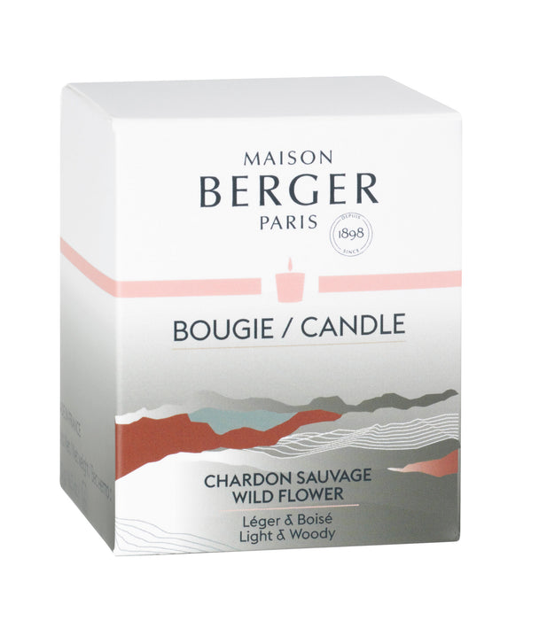 Maison Berger Paris Wild Flower Candle