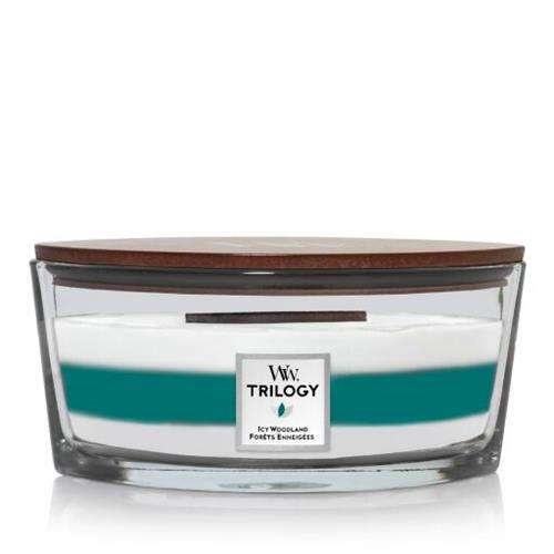Woodwick Trilogy Icy Woodland Ellipse Candle